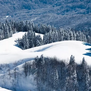 人乳宴掀衣喂乳h
